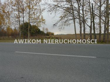 Stary Łajszczew, 742 000 zł, 7.42 ha, rolna