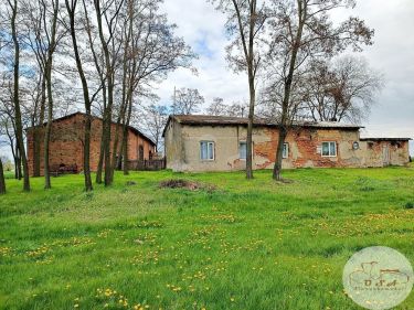 Siedlisko na uboczu rzeka staw 6 km Pyzdry