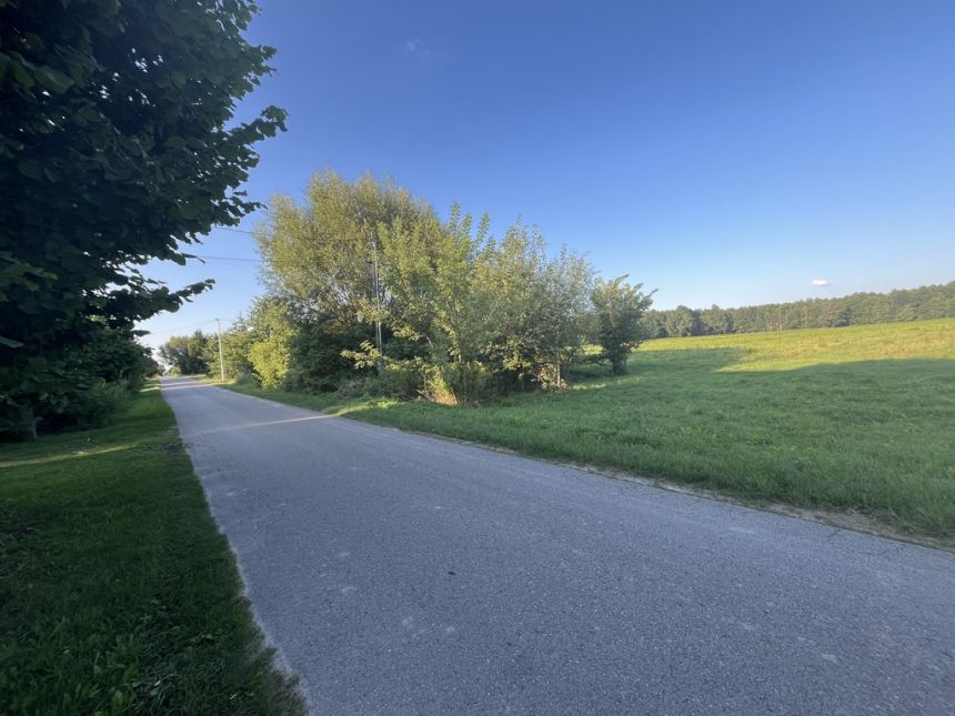 Duża działka 2,9 ha w Jabłonowie gm. Policzna. miniaturka 4
