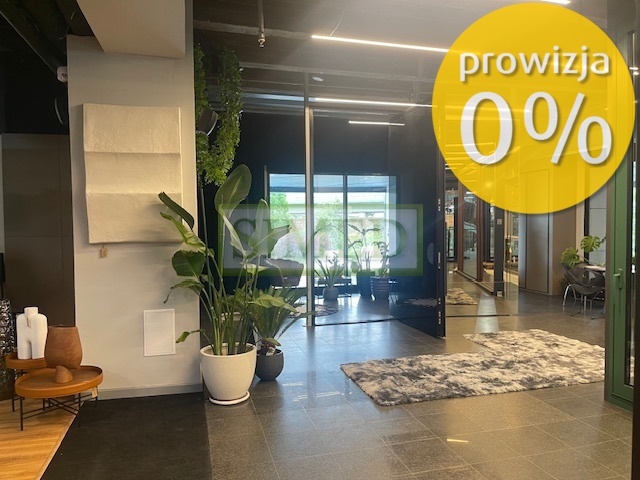 Showroom ,otwarta przestrzeń,przy wejściu ,ochrona - zdjęcie 1