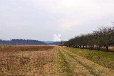 Działka budowlana w Olchowcach 15 arów