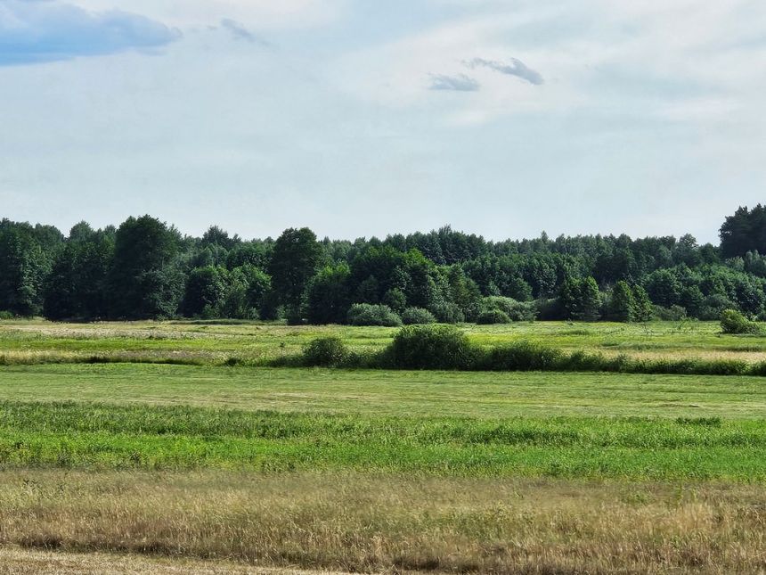 Działki rolne, Leszkowice, gm. Ostrówek miniaturka 6