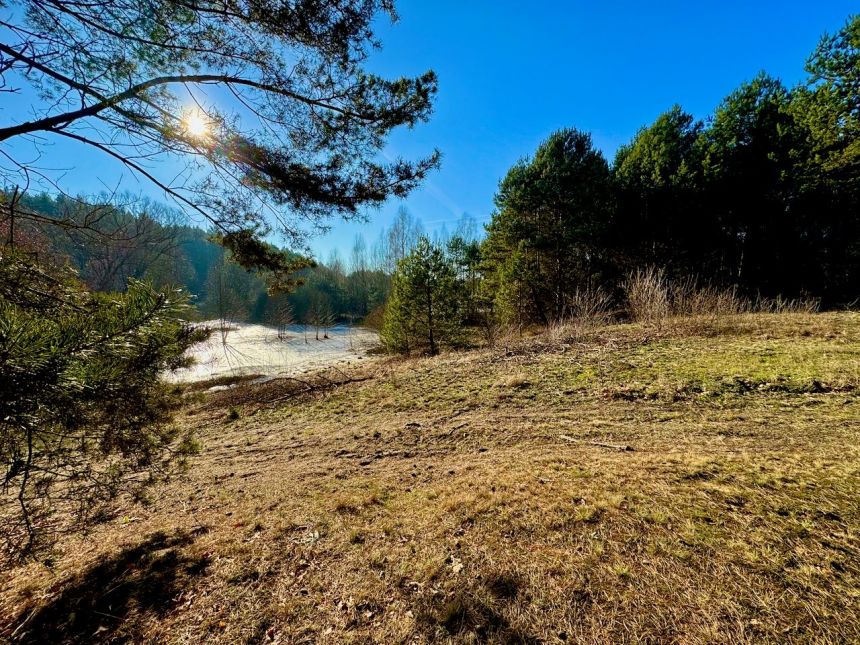 Działka leśna nad Pilicą-Ostrów gm. Aleksandrów miniaturka 8