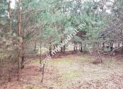 działka usługowa z MPZP 50x78 miniaturka 9