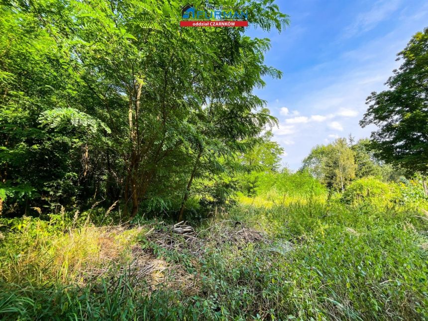 Kuźnica Żelichowska, 69 000 zł, 14.43 ar, rekreacyjna - zdjęcie 1