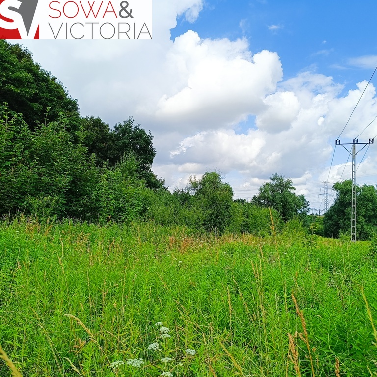 Działka rolna na obrzeżach Świebodzic. miniaturka 6