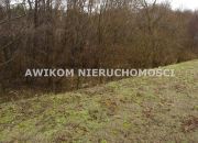 Skierniewice, 138 258 zł, 1.54 ha, droga dojazdowa asfaltowa miniaturka 8