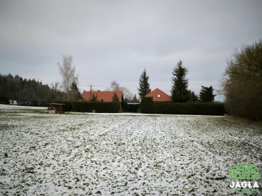 Piękna działka Gruczno 7800m2