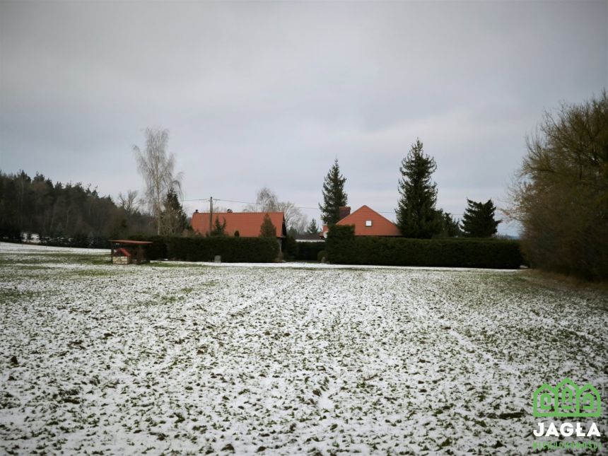 Piękna działka Gruczno 7800m2 - zdjęcie 1