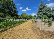 Działka rolno-budowlana 3500 m2 Grójec k/Ostrowca miniaturka 5