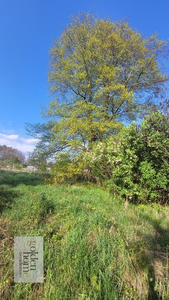 Chojnów, 360 000 zł, 320 m2, jednorodzinny miniaturka 12