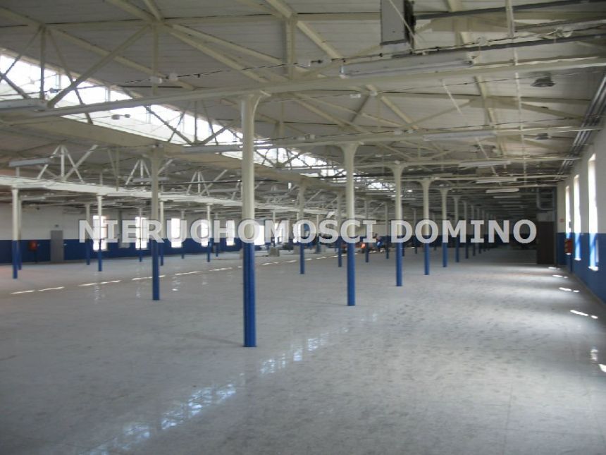 Łódź Widzew, 212 800 zł, 15200 m2, parter miniaturka 4