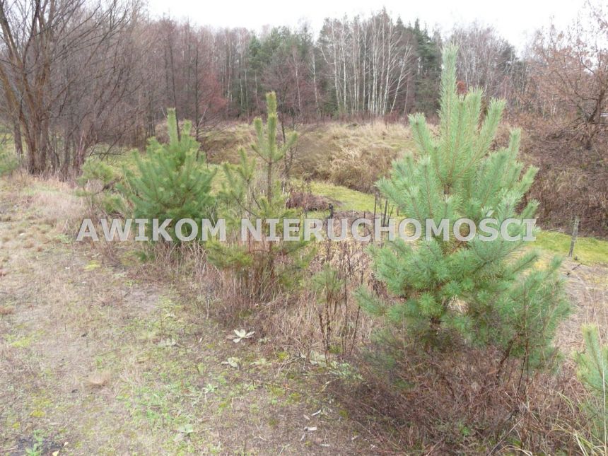 Skierniewice, 440 000 zł, 100 m2, do remontu miniaturka 11