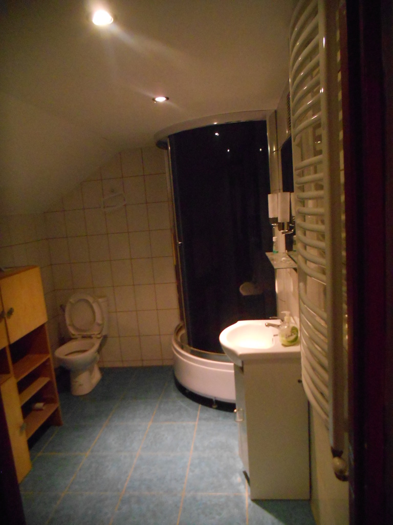 BUDYNEK MIESZKALNY 160m2, W GMINIE Pawłosiów miniaturka 9