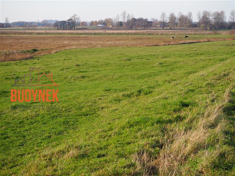 Działka rolna - Krupy miniaturka 4