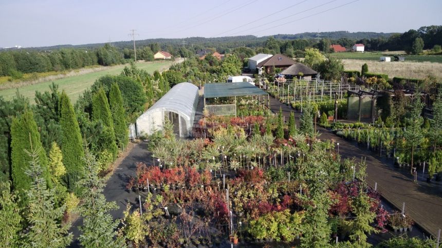 Kobylnica, 1 530 000 zł, 72 ar, inwestycyjna miniaturka 5