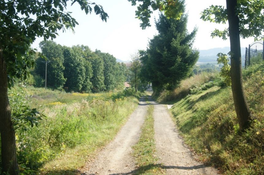 Działki budowlane w Starych Bogaczowicach miniaturka 11