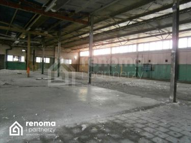 Koszalin, 13 020 zł, 1085 m2, pietro 1