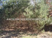 Adamów-Parcel, 270 000 zł, 15 ar, woda w drodze miniaturka 2