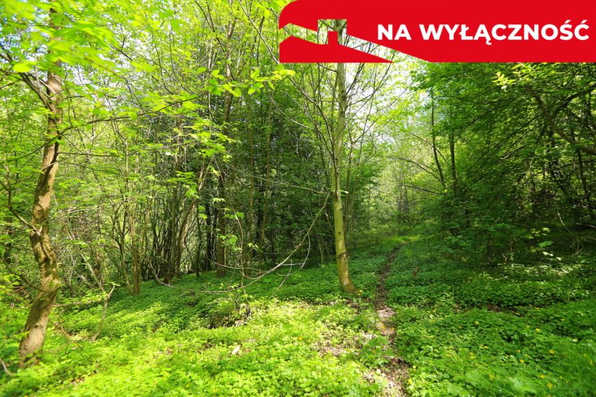 Działka rolno-budowlana z lasem miniaturka 15