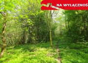 Działka rolno-budowlana z lasem miniaturka 15