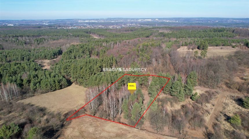 Działka z pozwoleniem w granicy parku, Płaza - zdjęcie 1