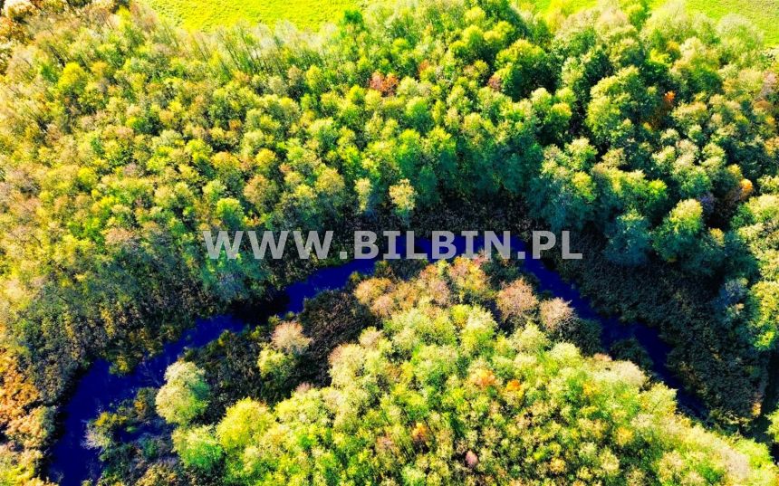 Działka z linią brzegową do rzeki Żubrówka ! miniaturka 4