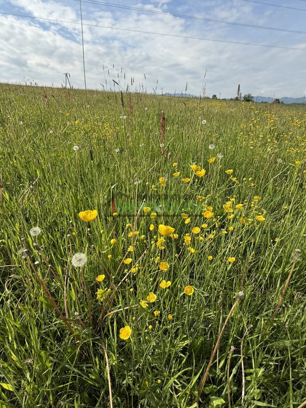 Juraszowa, 180 000 zł, 10.65 ar, budowlana - zdjęcie 1