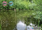 Koleczkowo, 749 000 zł, 75 m2, z cegły miniaturka 1