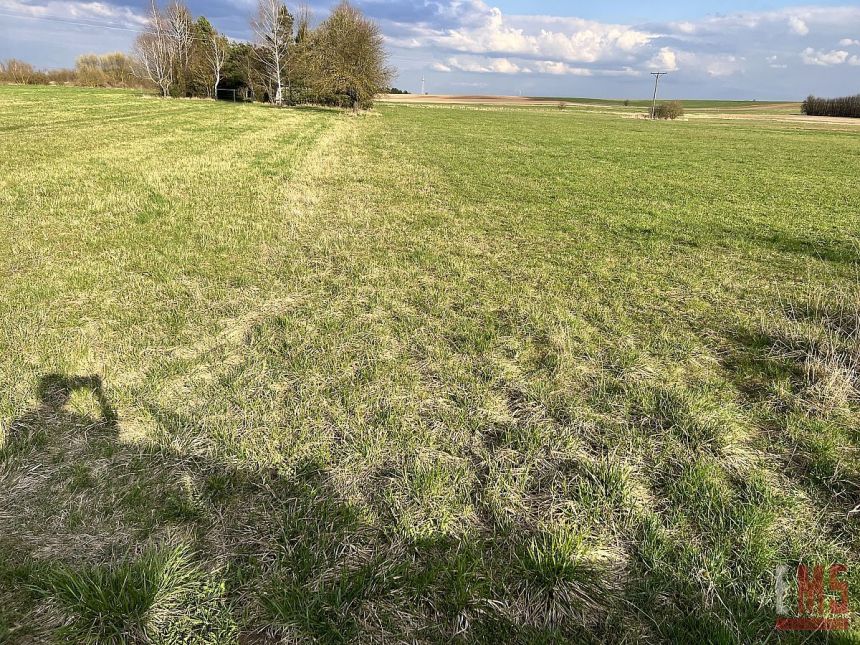 Dobrzyniewo Kościelne, 324 900 zł, 34.2 ar, droga dojazdowa utwardzona miniaturka 2