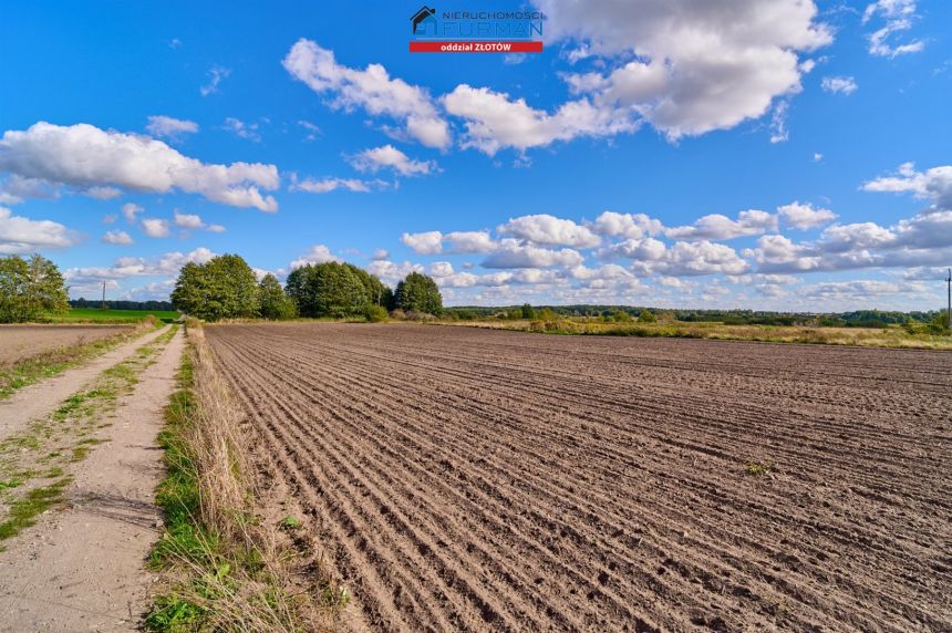 Działki z warunkami zabudowy, Dzierzążenko miniaturka 5