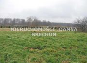 Górowo / w zabudowanej okolicy miniaturka 3