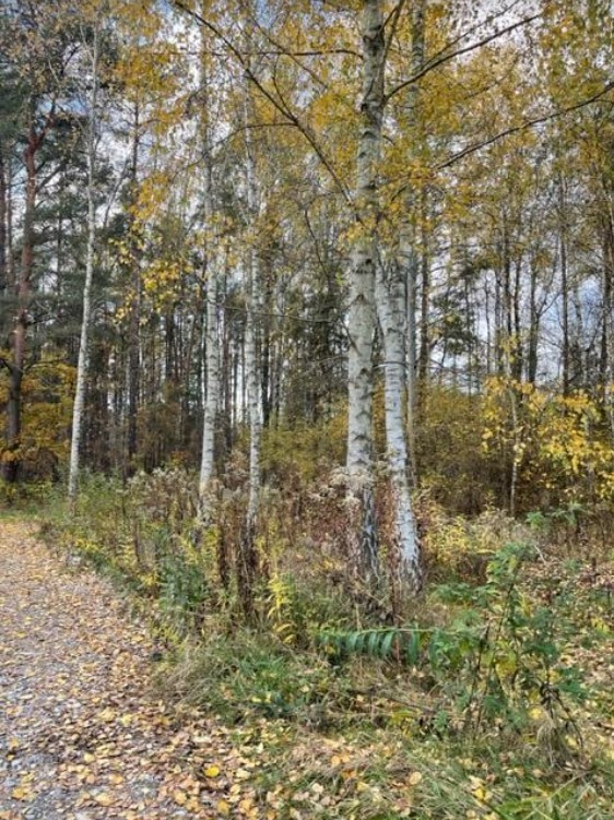 Działka budowlana o powierzchni 1411 m2. - zdjęcie 1