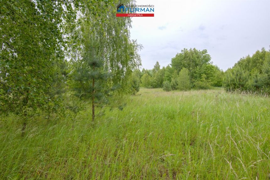 Działki przy ścianie lasu miniaturka 5