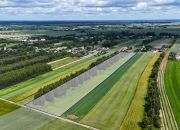 Kłobuck, ul. Szkolna | Działki budowlane miniaturka 5