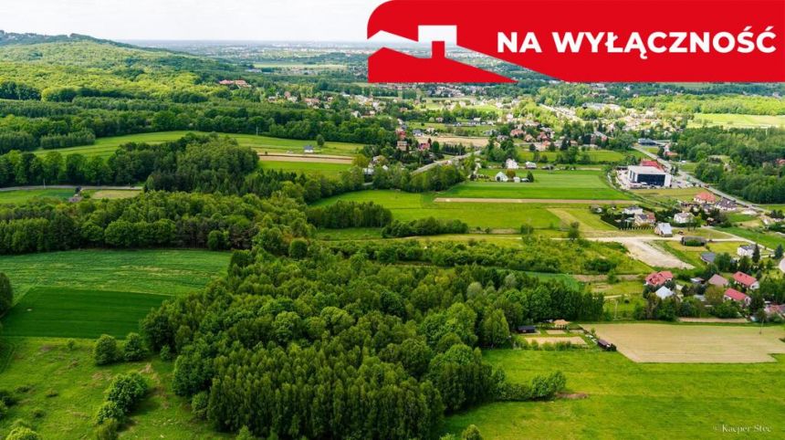 Działka rolno-budowlana- Skrzyszów miniaturka 3