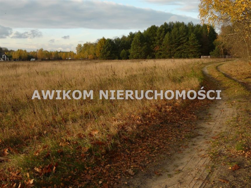 Puszcza Mariańska, 83 930 zł, 11.99 ar, budowlana miniaturka 4