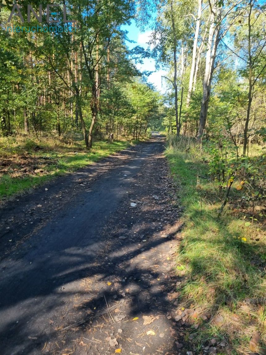 Działka w lesie- Ruda Śląska- Halemba/Stara Kuźnia miniaturka 5