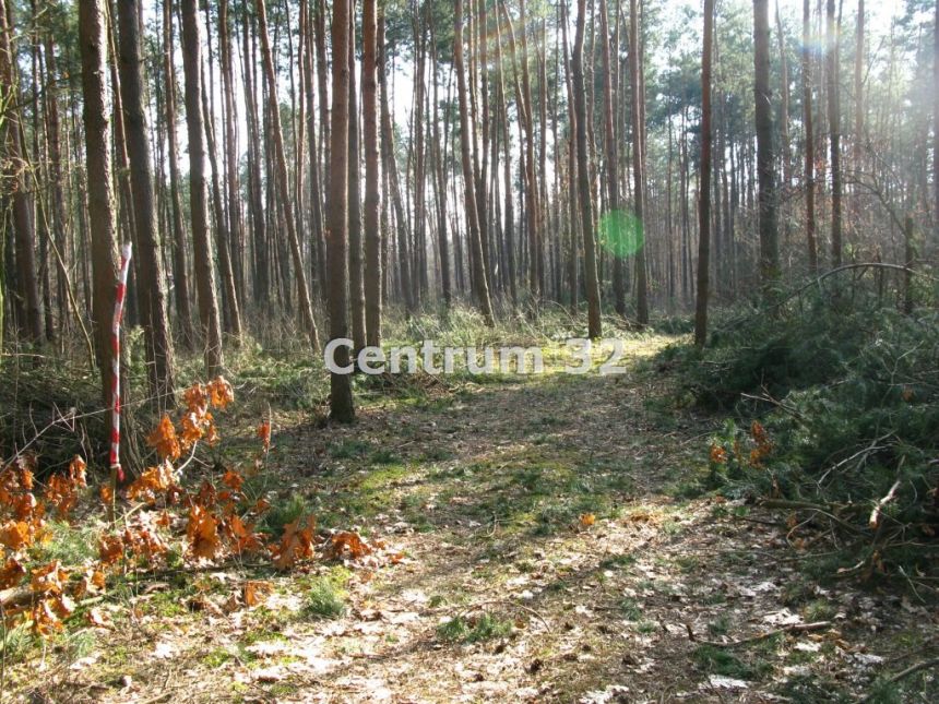 Siestrzeń, 1 500 000 zł, 1.15 ha, budowlana miniaturka 2