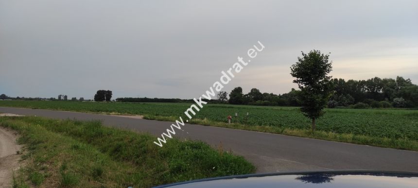 cicha okolica miniaturka 2