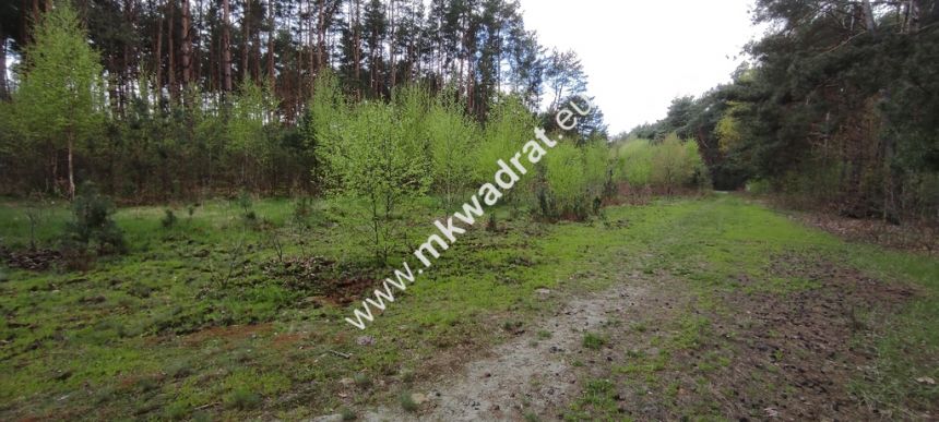 Piękna działka otoczona lasem 2 316 m2, Czarny las miniaturka 8