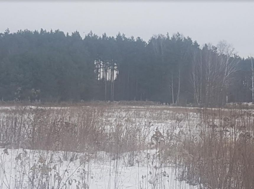 Działka o pow. 7000 m2 w Sierakowie. - zdjęcie 1