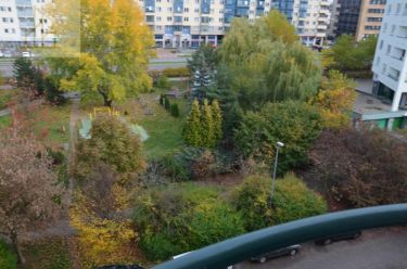 Warszawa Kabaty, 3 700 zł, 40 m2, stan bardzo dobry