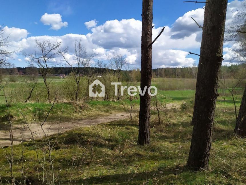 Jałowiec, 149 000 zł, 24 ar, budowlana miniaturka 12