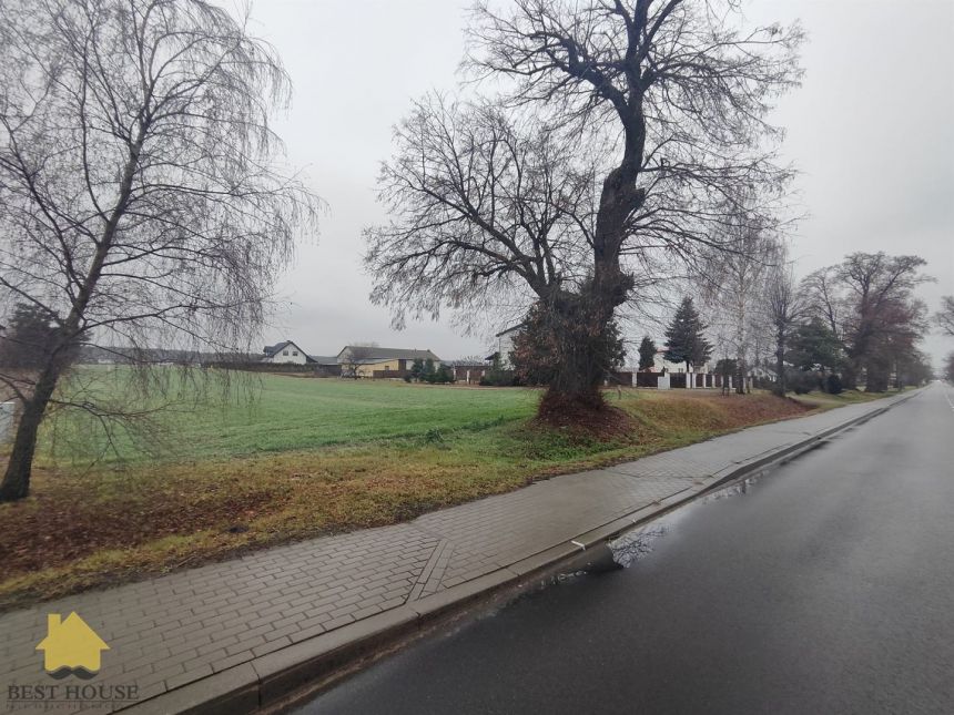 Jawidz 150 000 zł 20 ar miniaturka 3