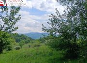 Widok na góry ,  piękny drzewostan. Przy lesie ! miniaturka 1