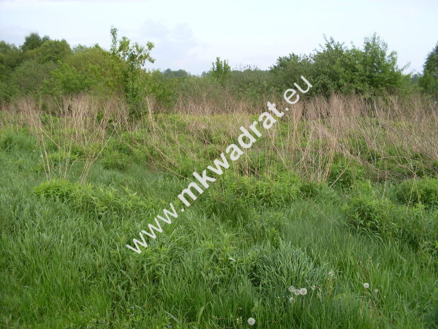 Leoncin, 933 000 zł, 3.11 ha, prostokątna - zdjęcie 1