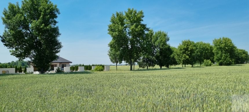 Działka budowlana 12 ar Jarosław Łazy Kostkowskie - zdjęcie 1