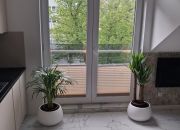 Gdańsk Przymorze, 2 500 zł, 30 m2, z miejscem parkingowym miniaturka 5