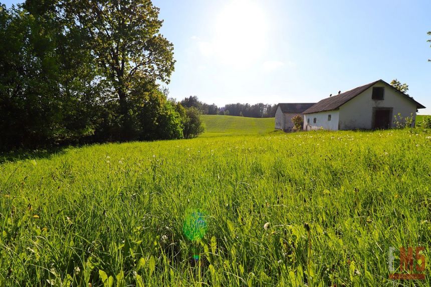 Klejwy, 380 000 zł, 1.31 ha, droga dojazdowa gruntowa miniaturka 10